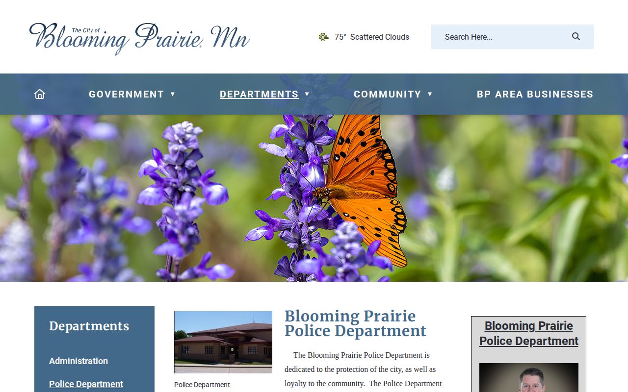 Blooming Prairie Police Department arrest-record source